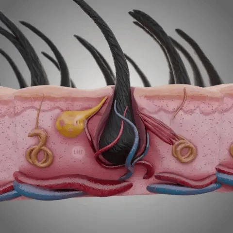 How It Works Diagram